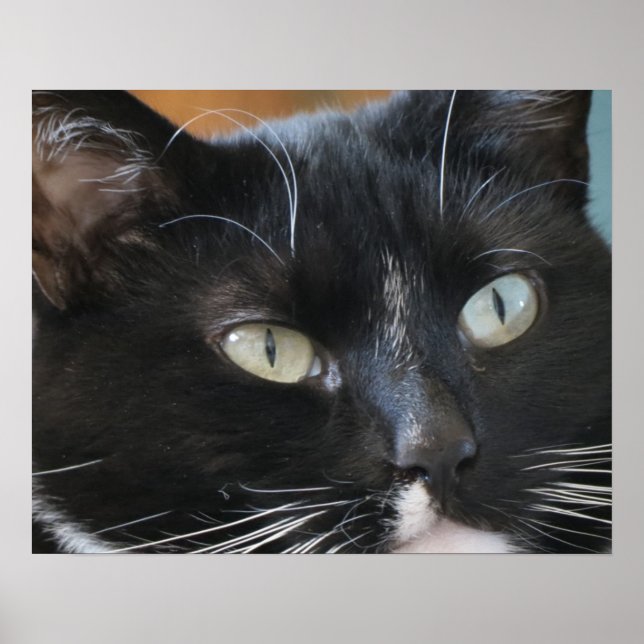 Póster poster (Frente)