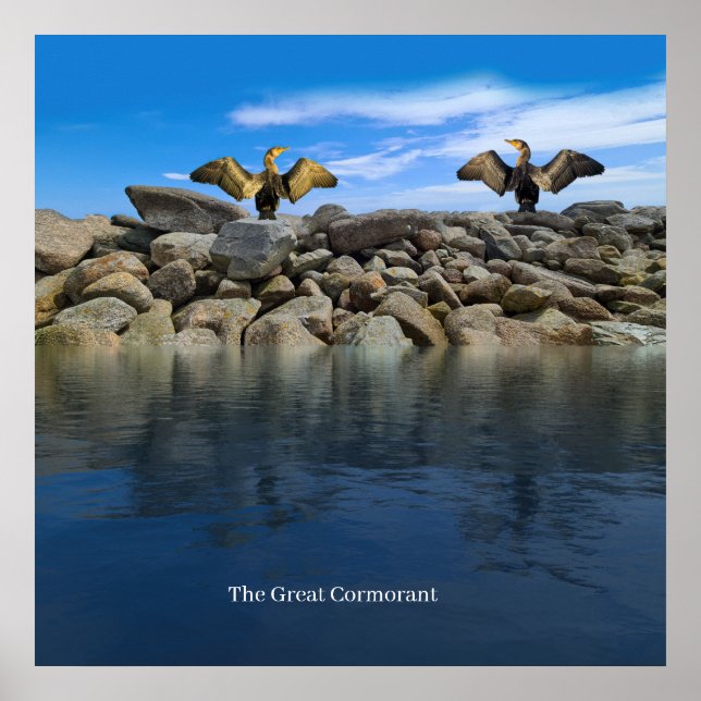 Póster Poster (Frente)