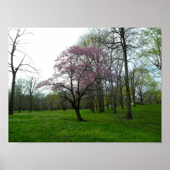 Póster Poster (Frente)