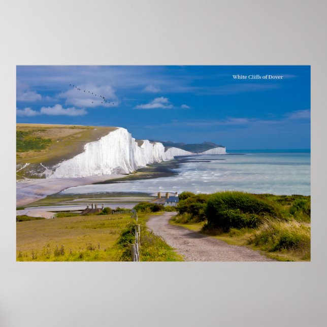 Póster Poster (Frente)