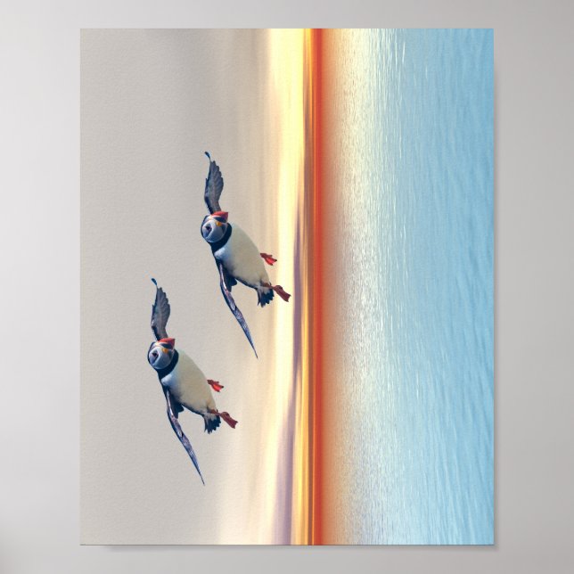 Póster Poster (Frente)
