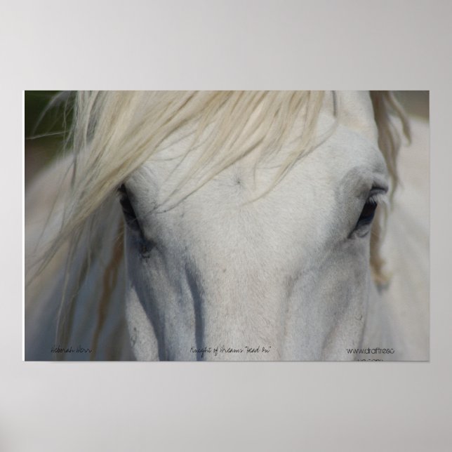 Póster Poster (Frente)