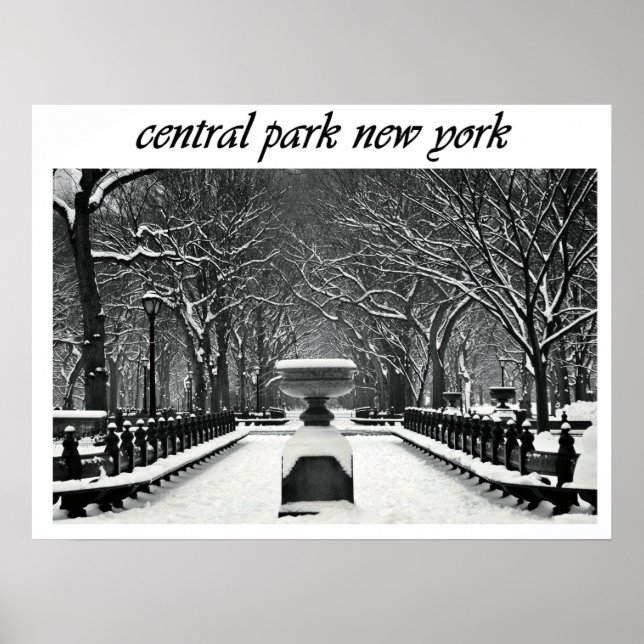 Póster Poster (Frente)