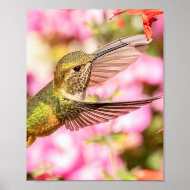 Póster Poster (Frente)