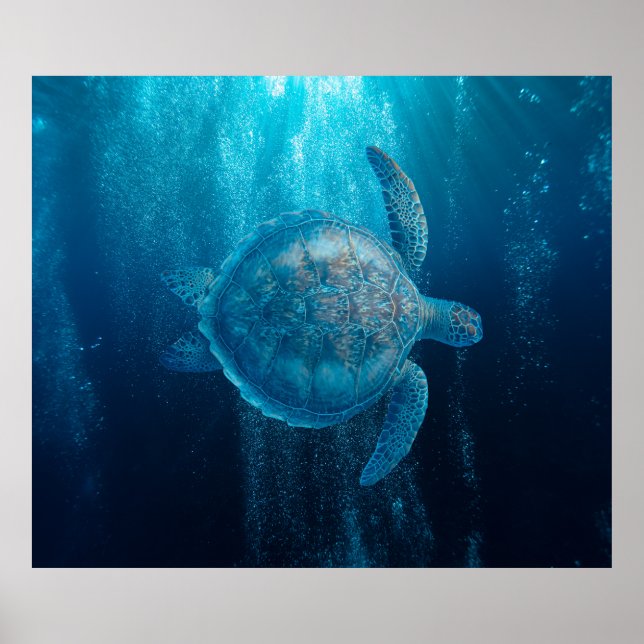 Póster Poster (Frente)