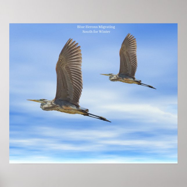 Póster Poster (Frente)