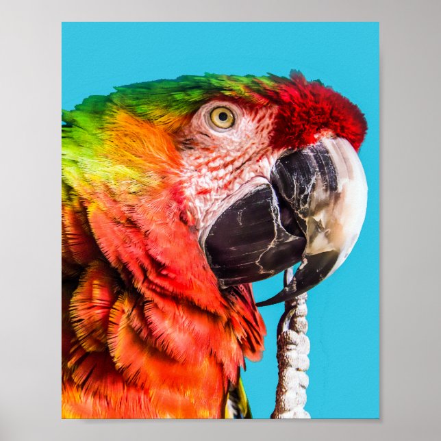 Póster Poster (Frente)