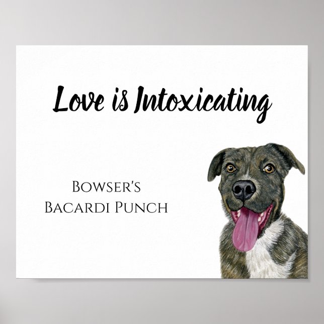 Póster Poster (Frente)