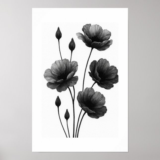 Póster Poster (Frente)