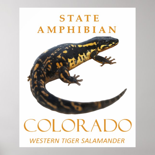 Póster poster (Frente)