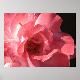 Póster Poster 16 x 12