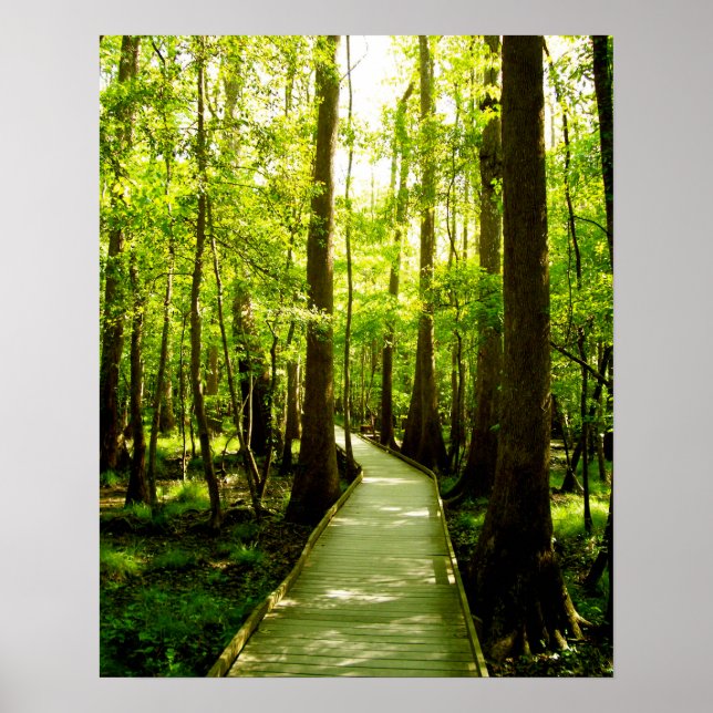 Póster poster 16x20 - Ruta del bosque (Frente)