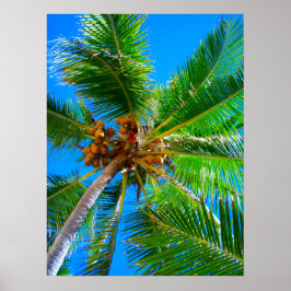 Póster Poster (18" x 24") Palm Tree Vanuatu