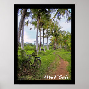 Póster Poster (18" x 24") Ubud Bike Bali