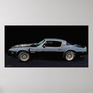 PÓSTER POSTER 1978 DE TA 6,6 TRANSAM