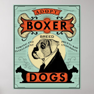 Póster Poster 1 del boxeador