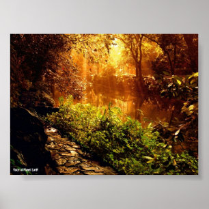 Póster Poster 1 - Naturaleza