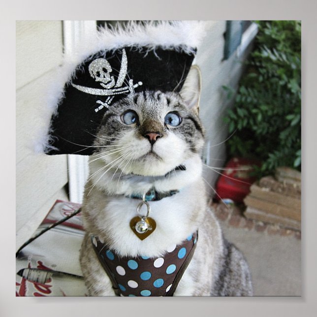 PÓSTER POSTER 2 (Frente)