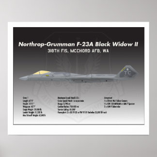 Póster poster 20x16 Northrop F-23A Black Widow II