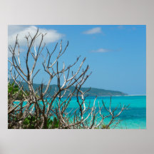 Poster (24 "x18") Árboles cielos de agua Vanuatu