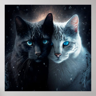 Póster Poster 2 gato