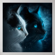 Poster 2 gato