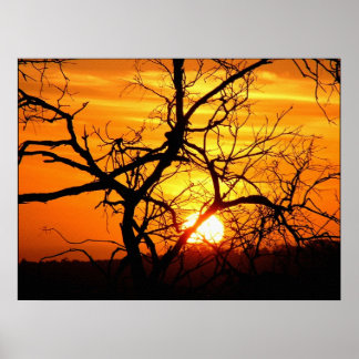 Póster Poster acoplado al atardecer