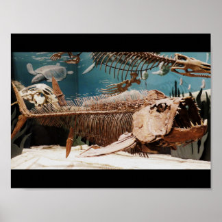Póster Poster acuático Dino