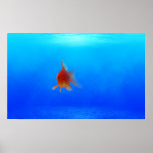 Póster Poster acuático submarino