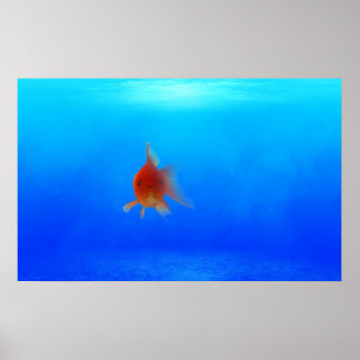 Póster Poster acuático submarino