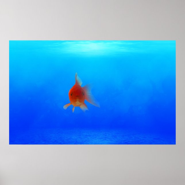 Póster Poster acuático submarino (Frente)