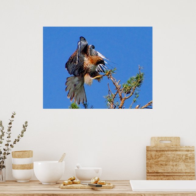 Póster Poster aerotransportado (Cocina)