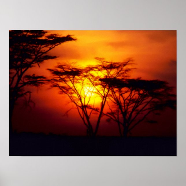 Póster Poster Africano del Sol (Frente)