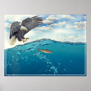 Póster Poster-Águila