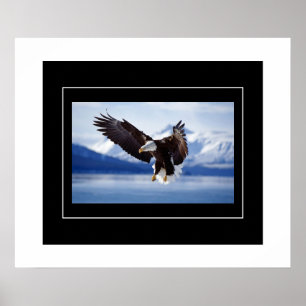 Póster Poster-Águila