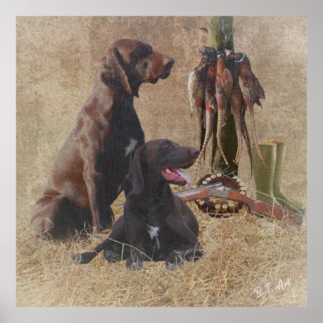 Póster Poster alemán de punteros de corto alcance (GSP) (Frente)