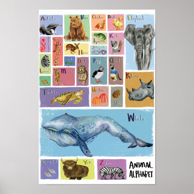 Póster Poster Alphabet Animal (Frente)