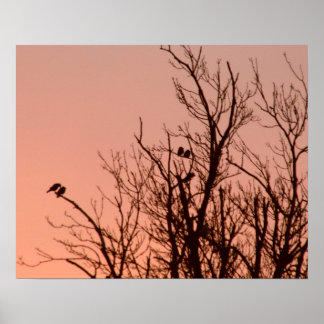 Póster Poster - Amanecer
