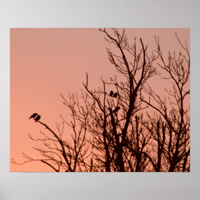 Póster Poster - Amanecer (Frente)