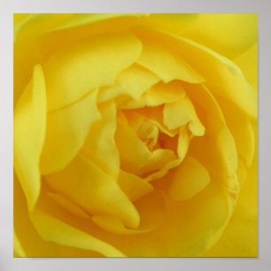 Póster Poster amarillo