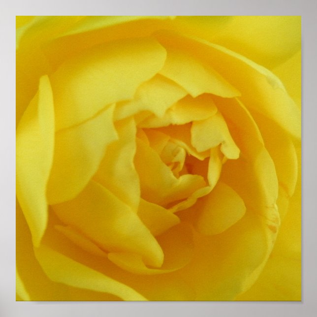 Póster Poster amarillo (Frente)