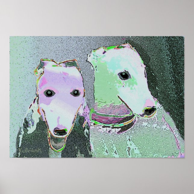 Póster poster "Amigos de un color diferente" (Frente)