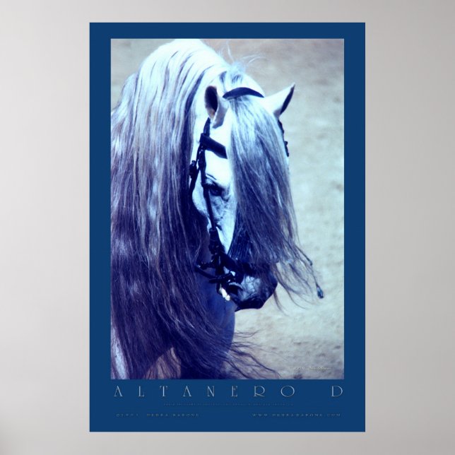 Póster Poster andaluz (Frente)