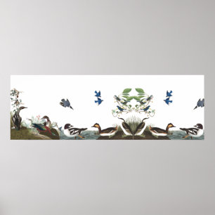 Póster Poster animal 1 de la fauna de los pájaros del