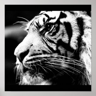 Póster Poster-Animales-40