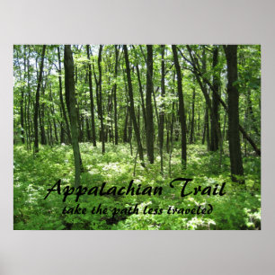 Póster Poster Appalachian Trail