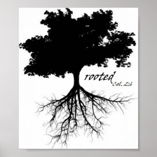 Póster Poster (Árbol "arraigado" con Col. 2:6)