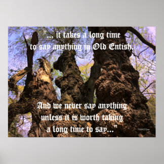 Póster Poster - Árboles de sabiduría con cita de Ent