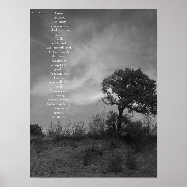 PÓSTER POSTER ART AND DESIGN STYLE  (Frente)