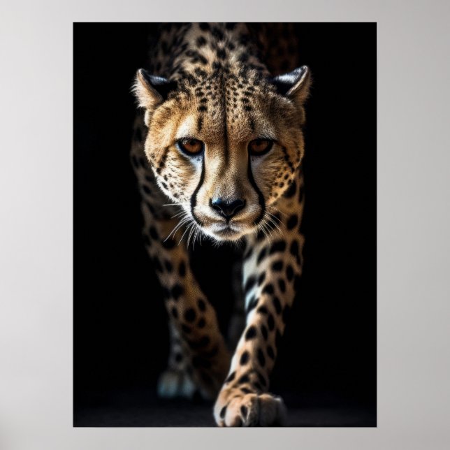 Póster Poster Art Cheetah (Frente)